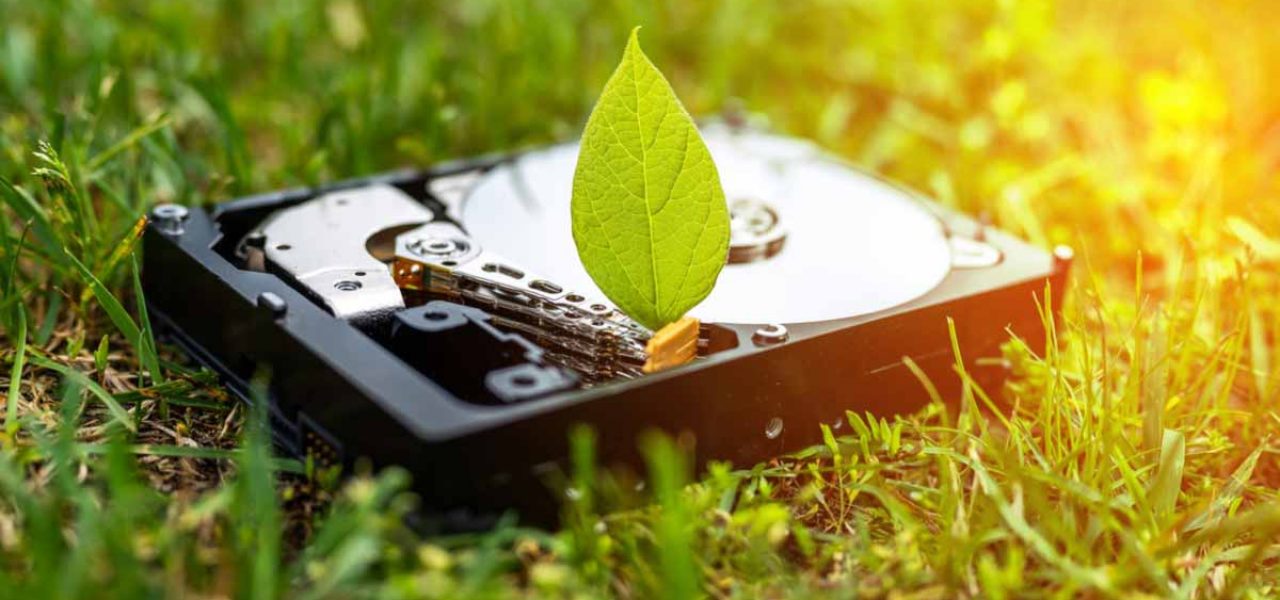 hard-disk-drive-with-a-chia-leaf-on-the-grass-picture-id1318934036